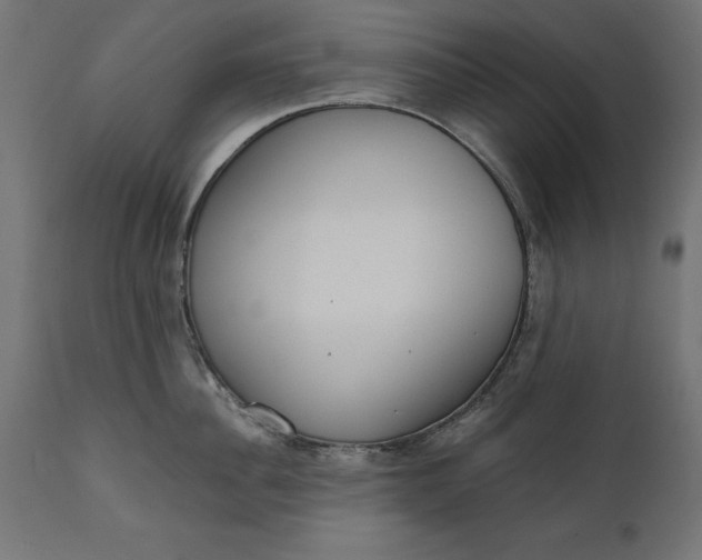 X0000111480956200907281159