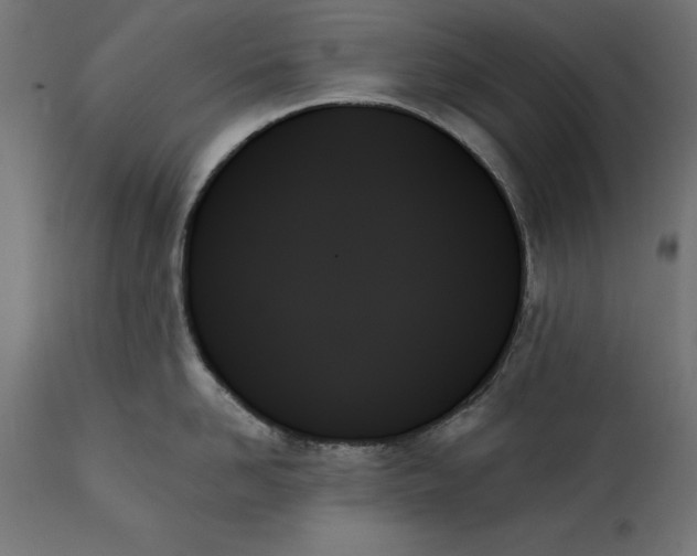 X0000111480958200907281159