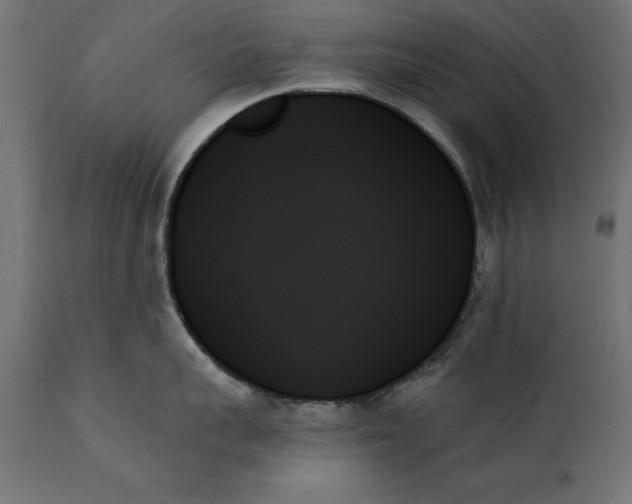 X0000111480959200907281159