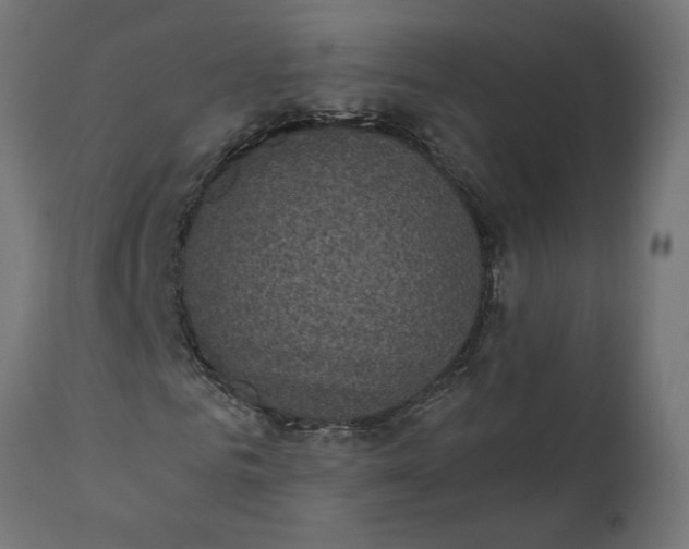 X0000111480961200907281158