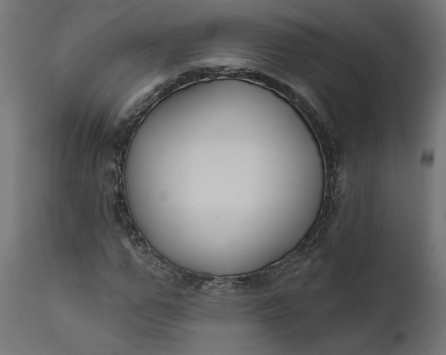 X0000111480967200907281158