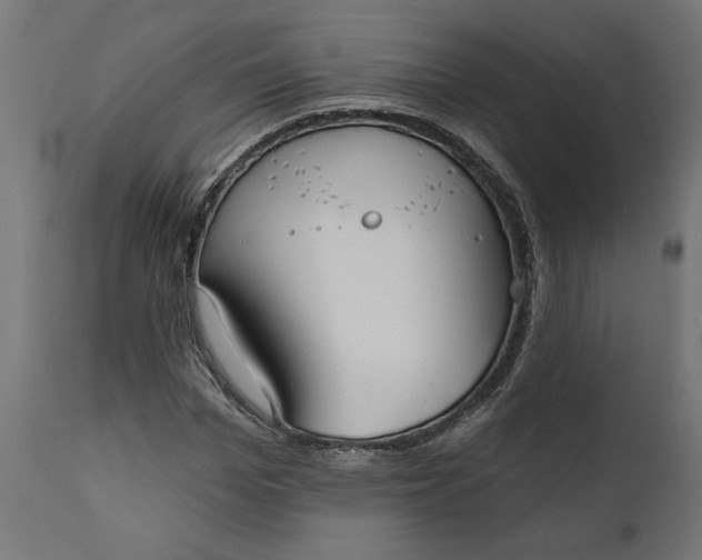 X0000111480969200907281158