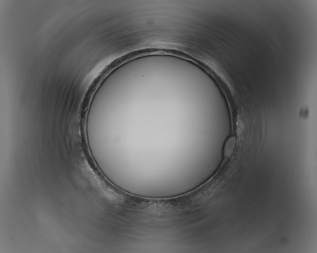 X0000111480972200907281158