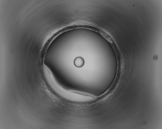 X0000111480973200907281158