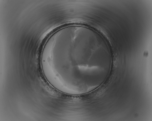 X0000111480975200907281158