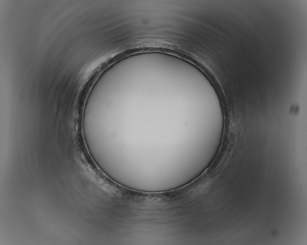 X0000111480979200907281158