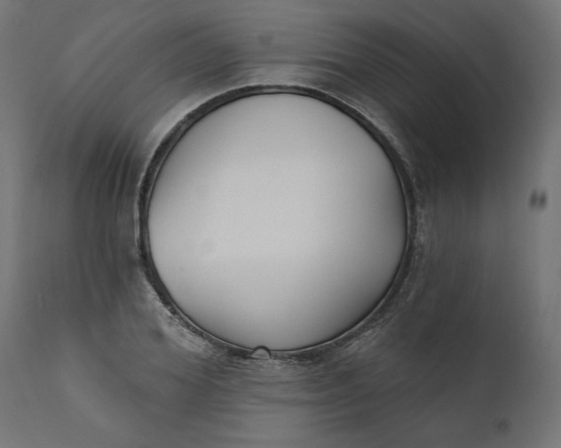 X0000111480980200907281158