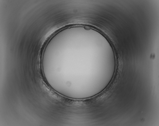 X0000111480982200907281158
