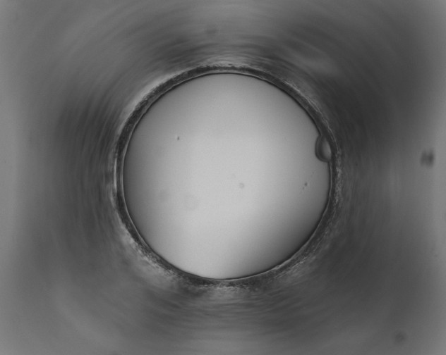 X0000111480984200907281158