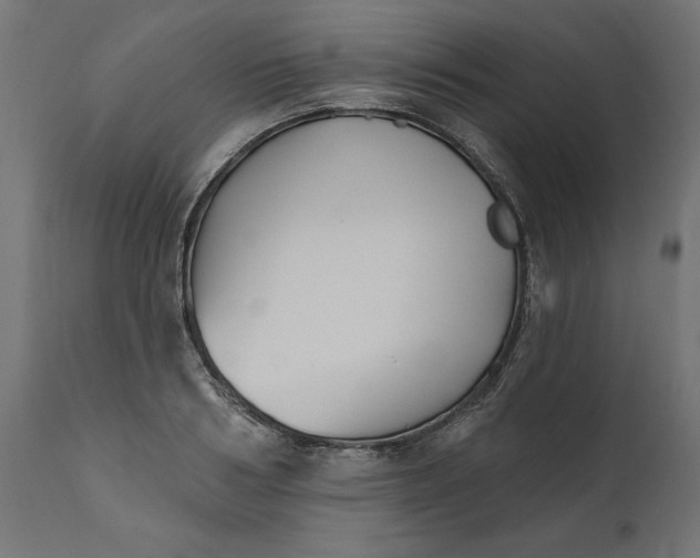 X0000111480986200907281158