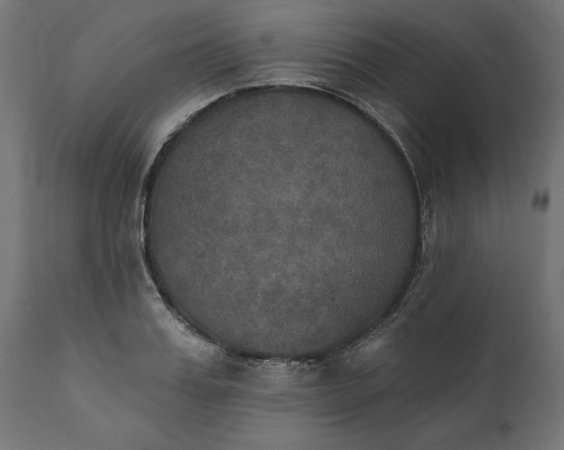X0000111480987200907281158