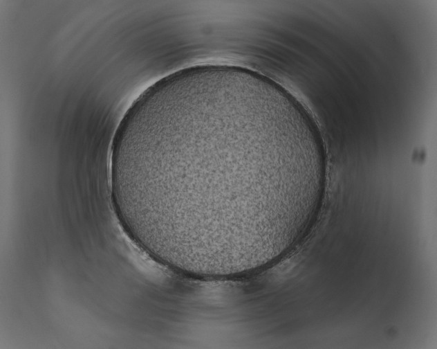 X0000111480988200907281158