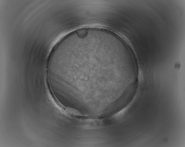 X0000111480989200907281158