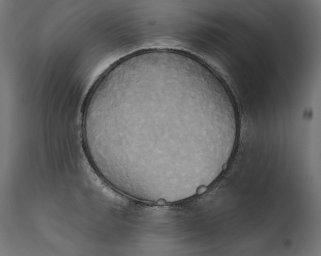 X0000111480990200907281158