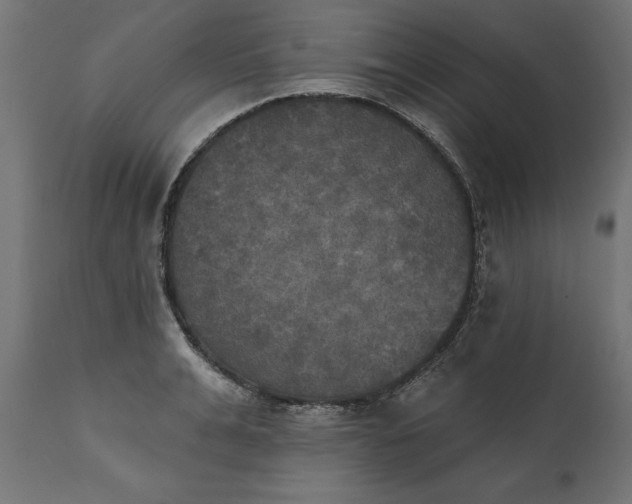 X0000111480991200907281158