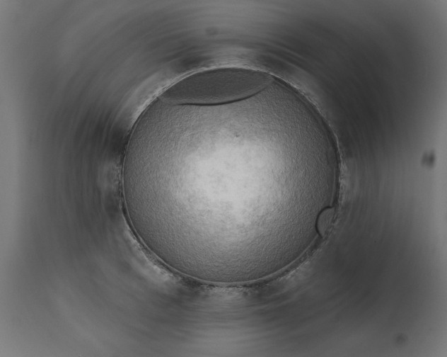 X0000111480993200907281158