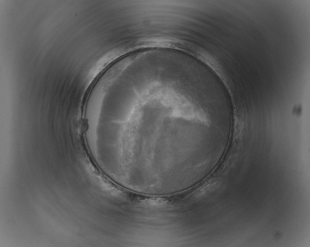 X0000111480994200907281158