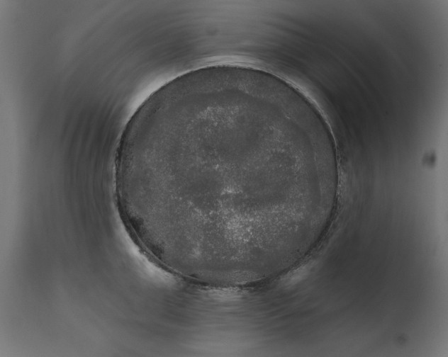 X0000111480999200907281158