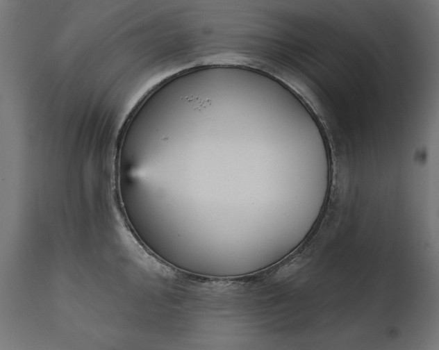 X0000111481000200907281158