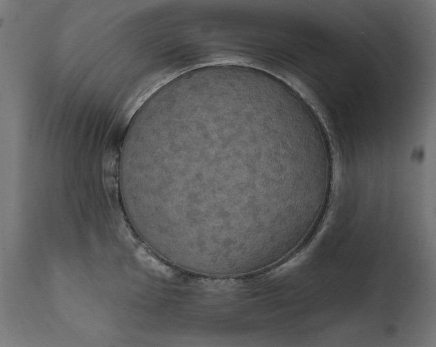 X0000111481001200907281158