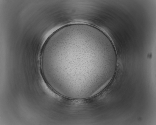 X0000111481003200907281158