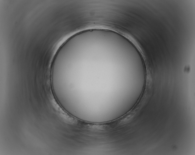 X0000111481004200907281158