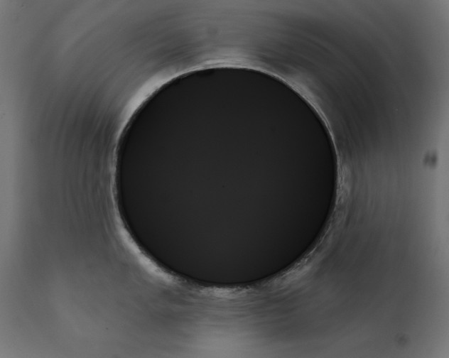 X0000111481005200907281158