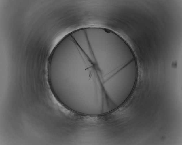 X0000111481006200907281158