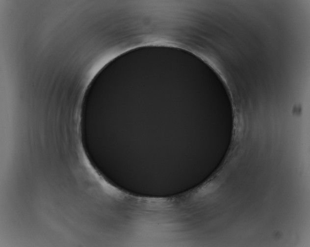 X0000111481007200907281158