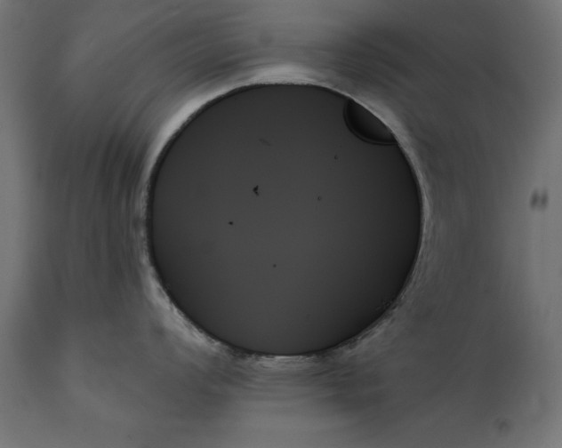 X0000111481008200907281158