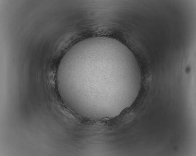X0000111481010200907281157