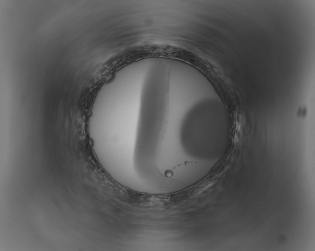 X0000111481013200907281157