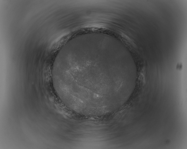 X0000111481014200907281157