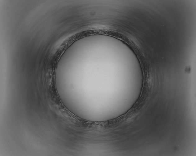 X0000111481016200907281157