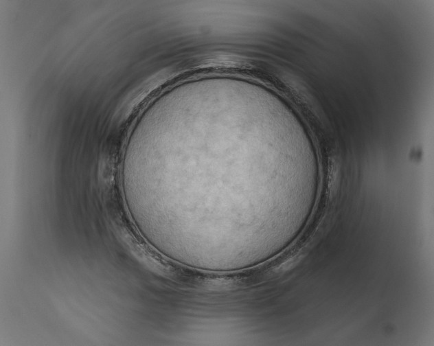 X0000111481017200907281157