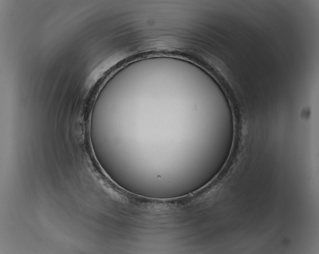 X0000111481018200907281157