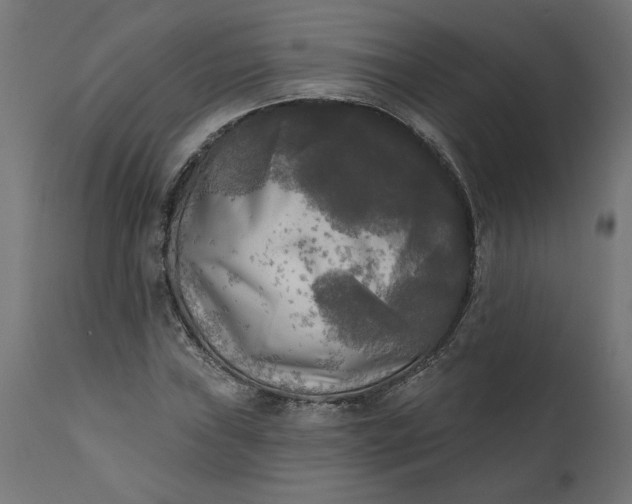 X0000111481019200907281157