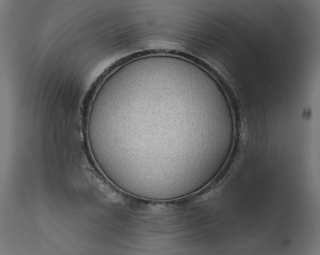 X0000111481022200907281157