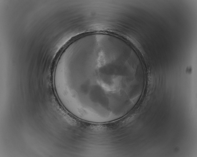 X0000111481023200907281157