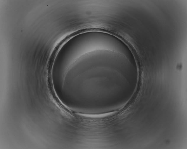 X0000111481024200907281157