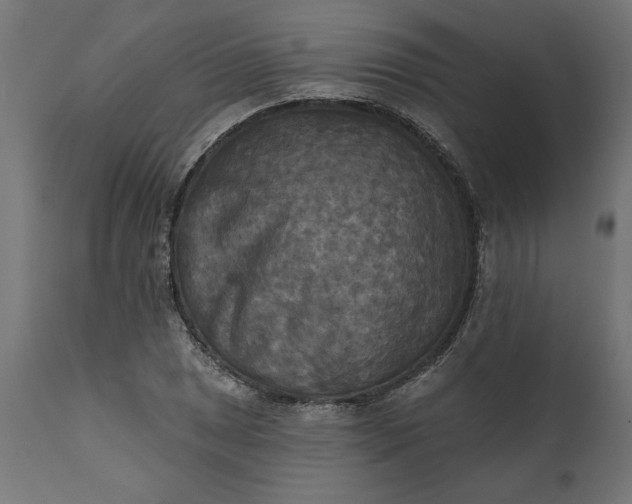 X0000111481025200907281157
