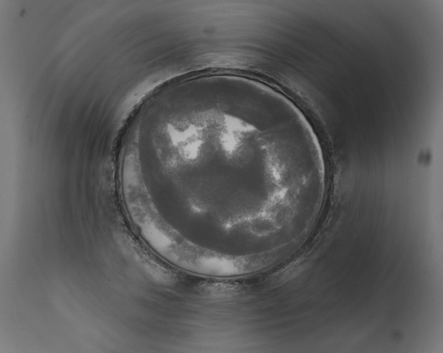 X0000111481027200907281157