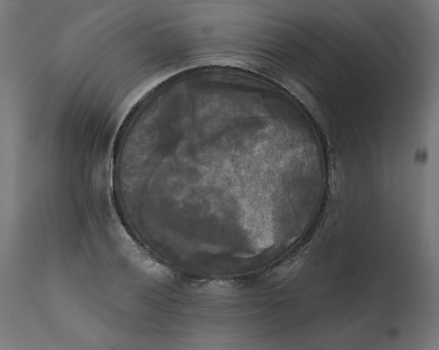 X0000111481028200907281157