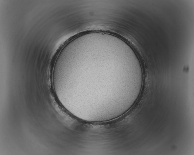 X0000111481030200907281157