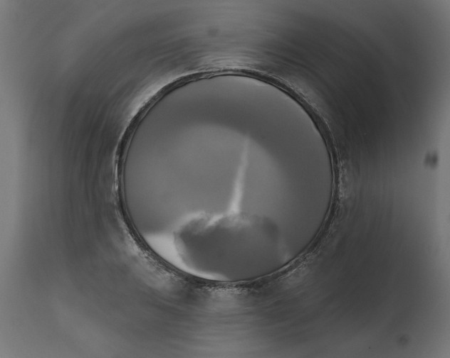 X0000111481031200907281157