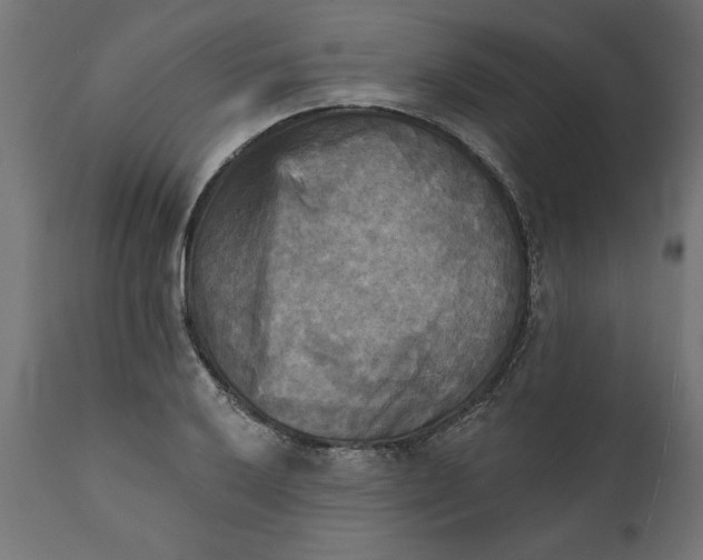 X0000111481032200907281157