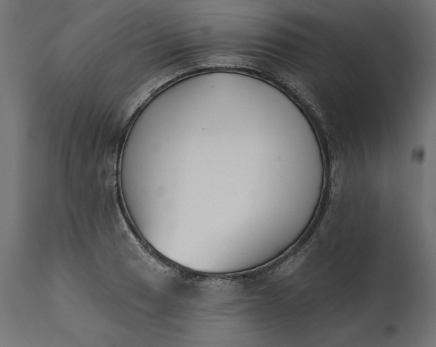 X0000111481033200907281157