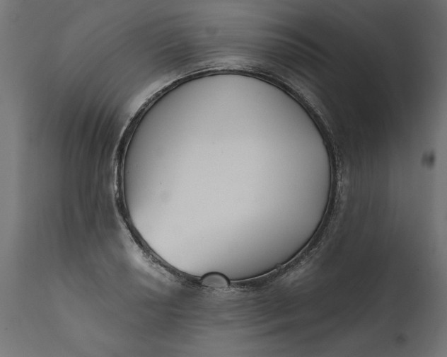 X0000111481034200907281157