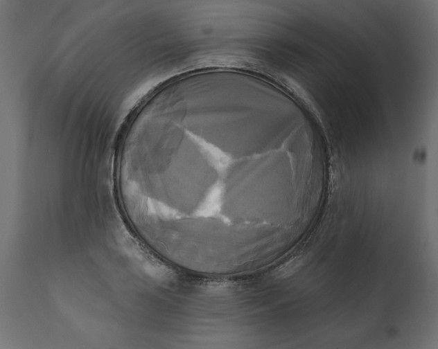 X0000111481035200907281157