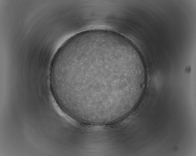 X0000111481038200907281157